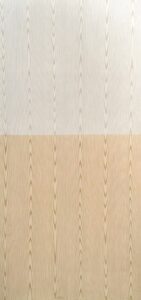 WhatsApp Image 2025-07-26 at 21.43.05